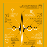 Alliance Médicale Soleil